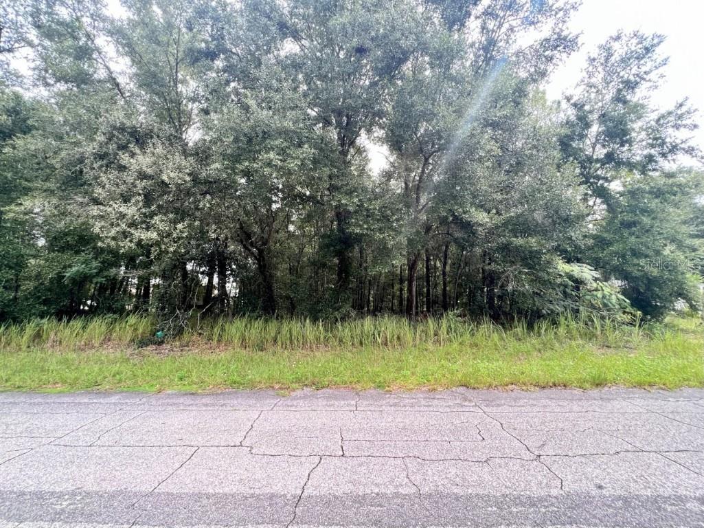 8107 N Fanita Citrus Springs FL 34434 C7482805 image1