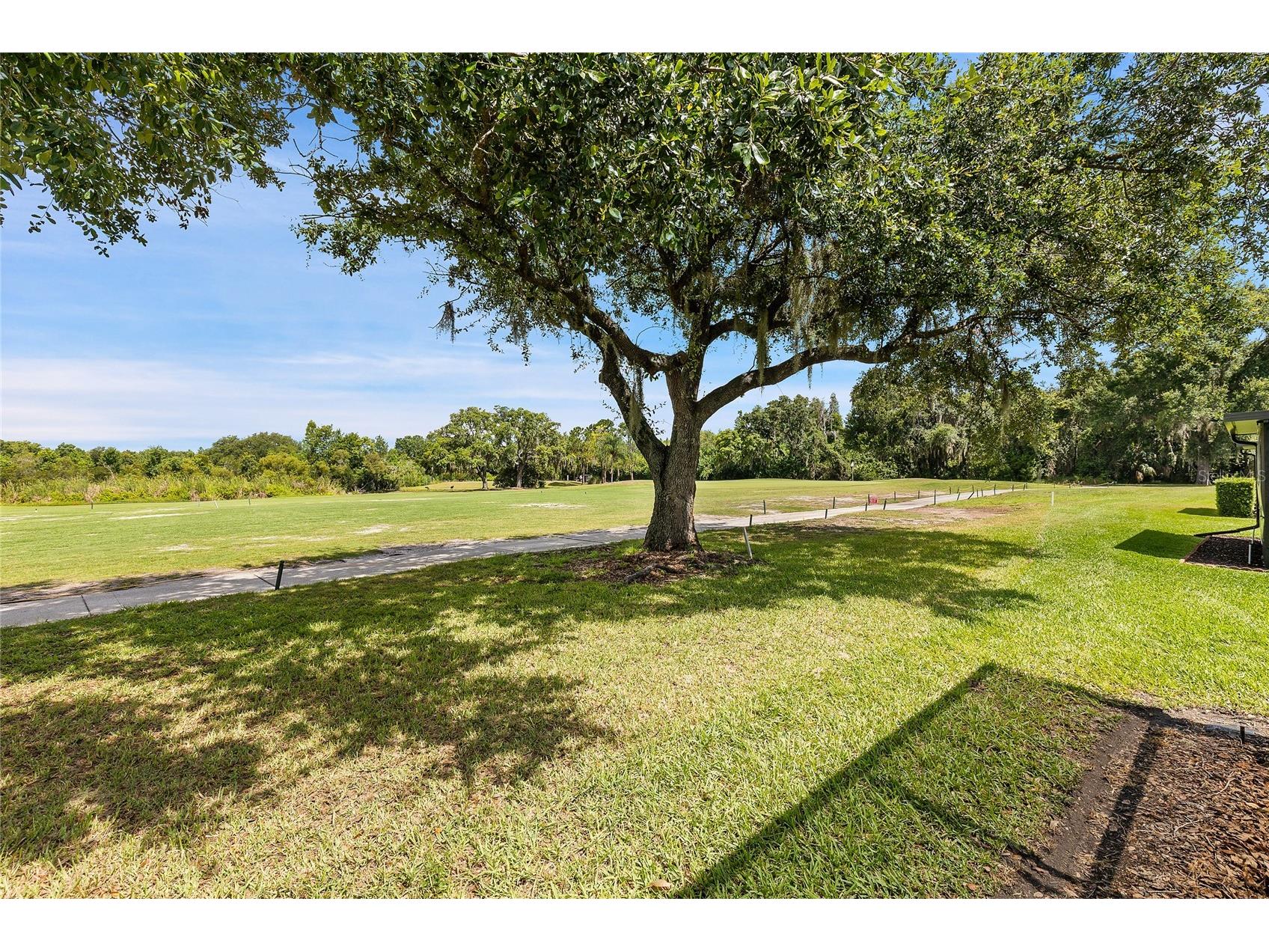 8107 Ponkan Road Land O Lakes FL 34637 W7886518 image4