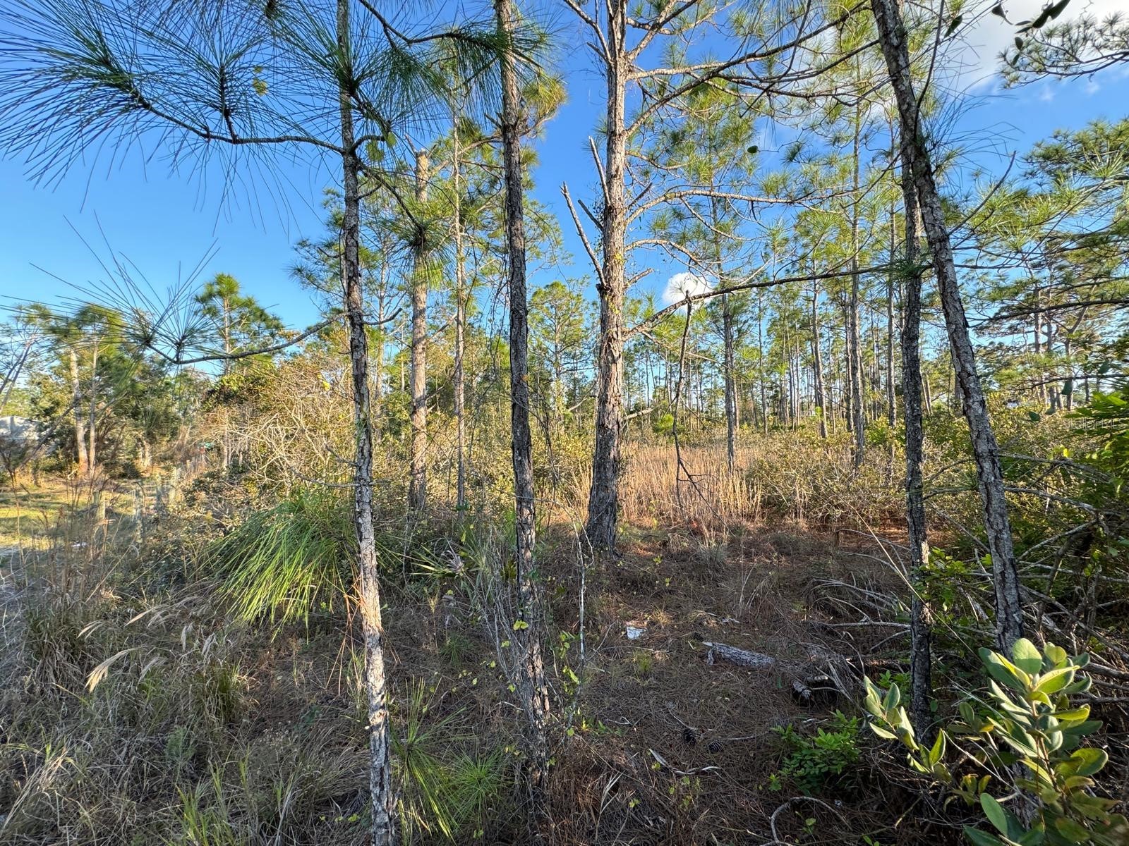 8108 Austrian Boulevard Punta Gorda FL 33982 O6338845 image1