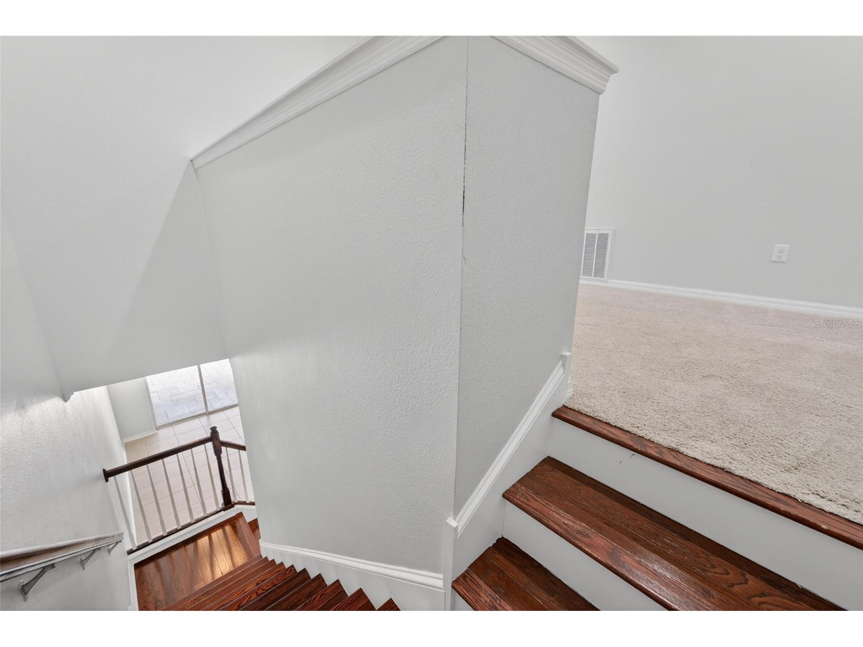 8108 Muddy Pines Place Tampa FL 33635 TB8497550 image26