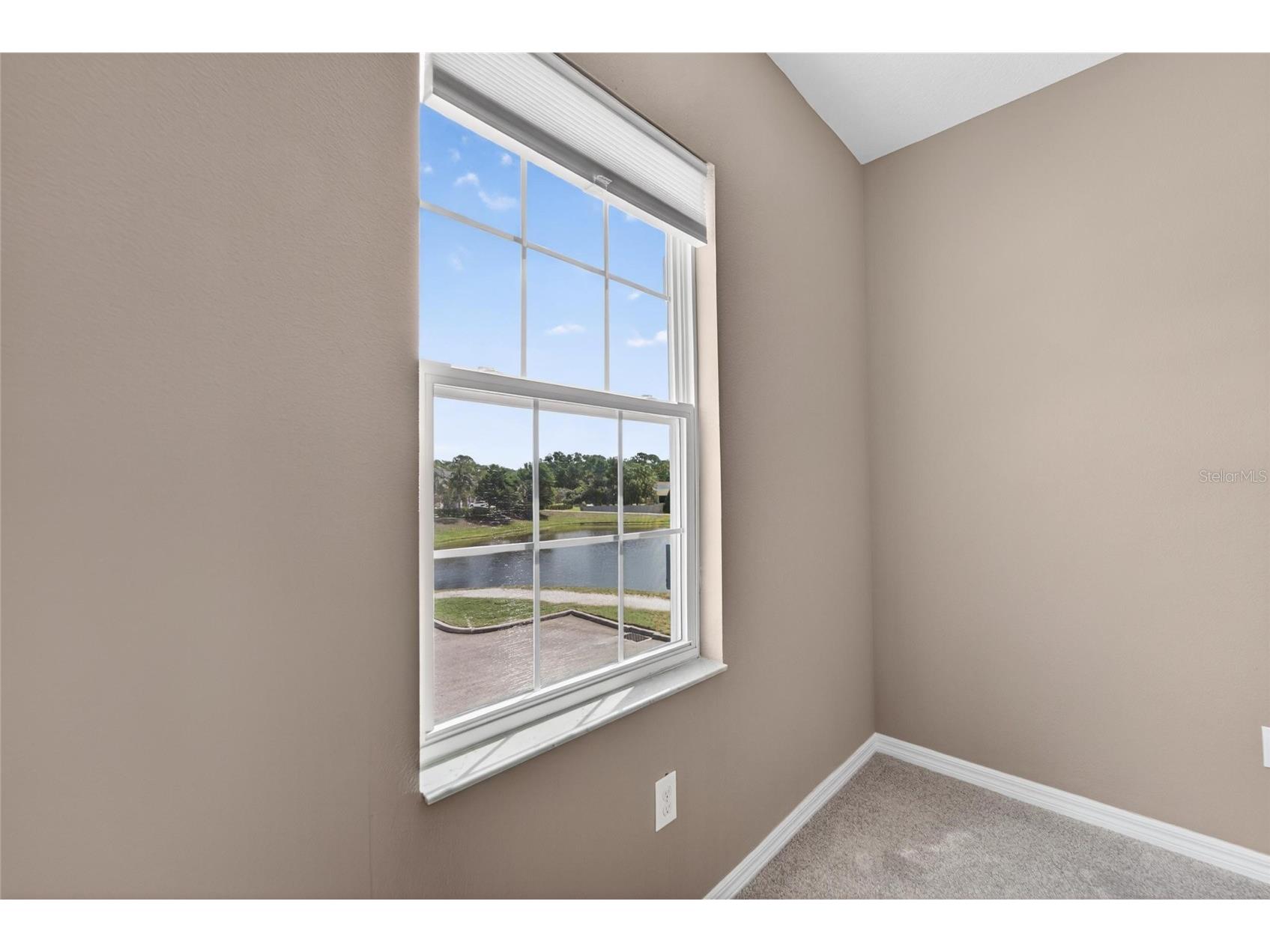 8108 Muddy Pines Place Tampa FL 33635 TB8497550 image31