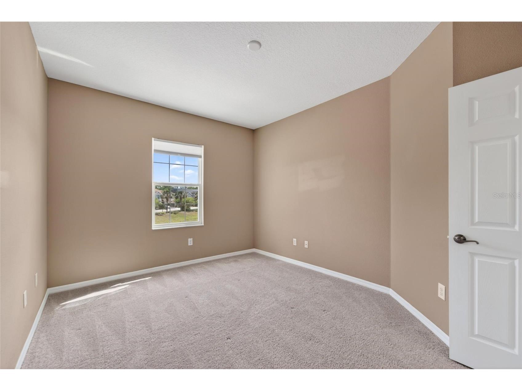 8108 Muddy Pines Place Tampa FL 33635 TB8497550 image39