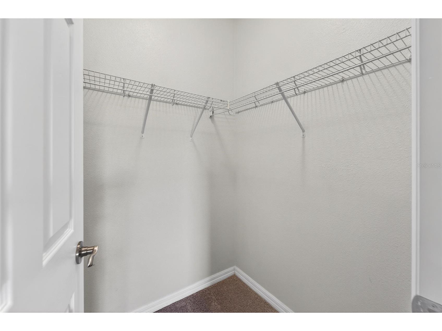 8108 Muddy Pines Place #8108 Tampa FL 33635 TB8510995 image47