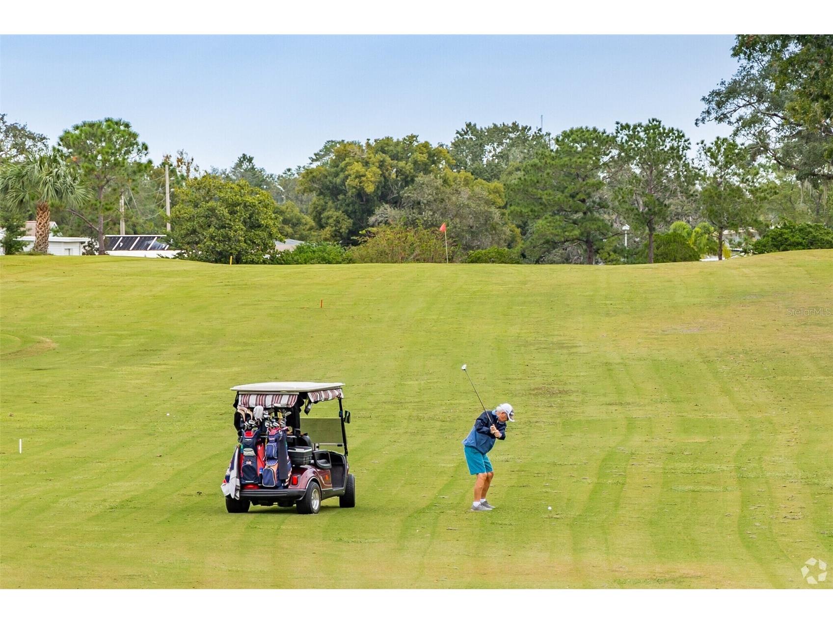 8109 Little Tee Lane Brooksville FL 34613 TB8504424 image23