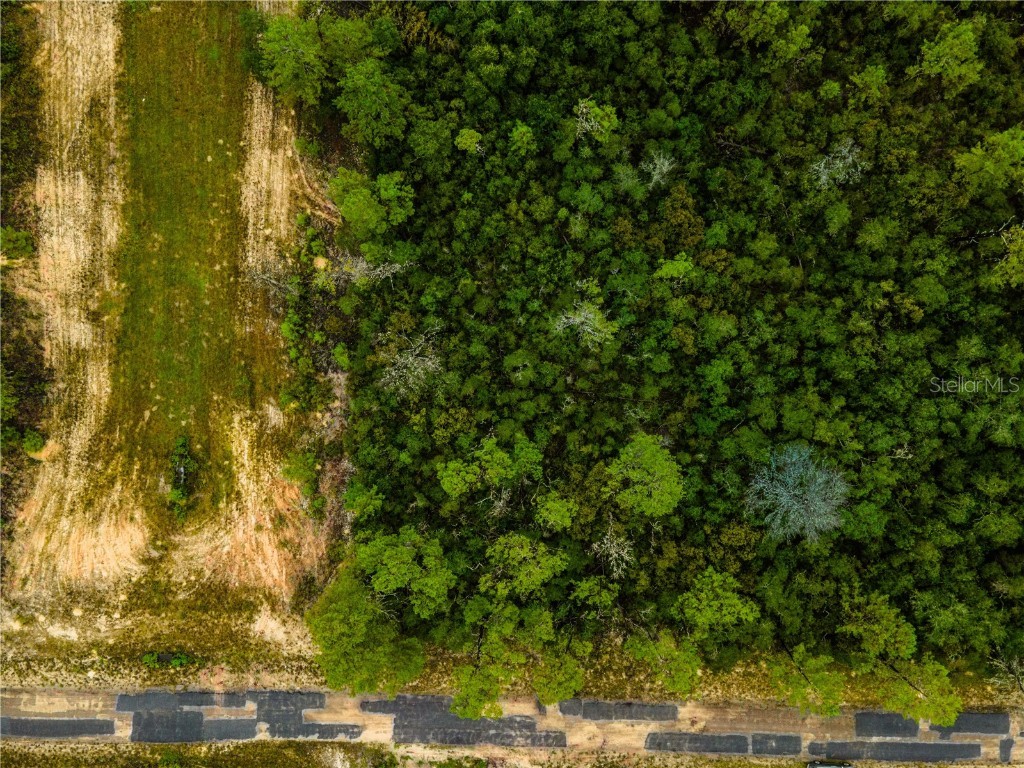 8109 N Wayside Avenue Dunnellon FL 34433 OM708694 image13