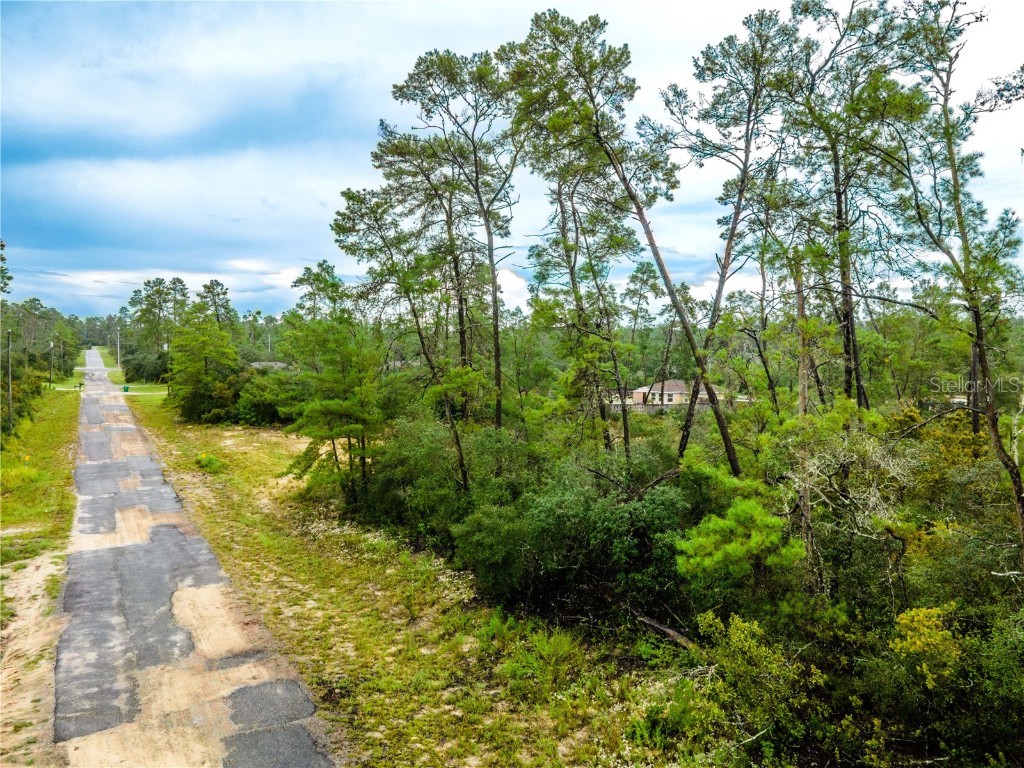 8109 N Wayside Avenue Dunnellon FL 34433 OM708694 image14