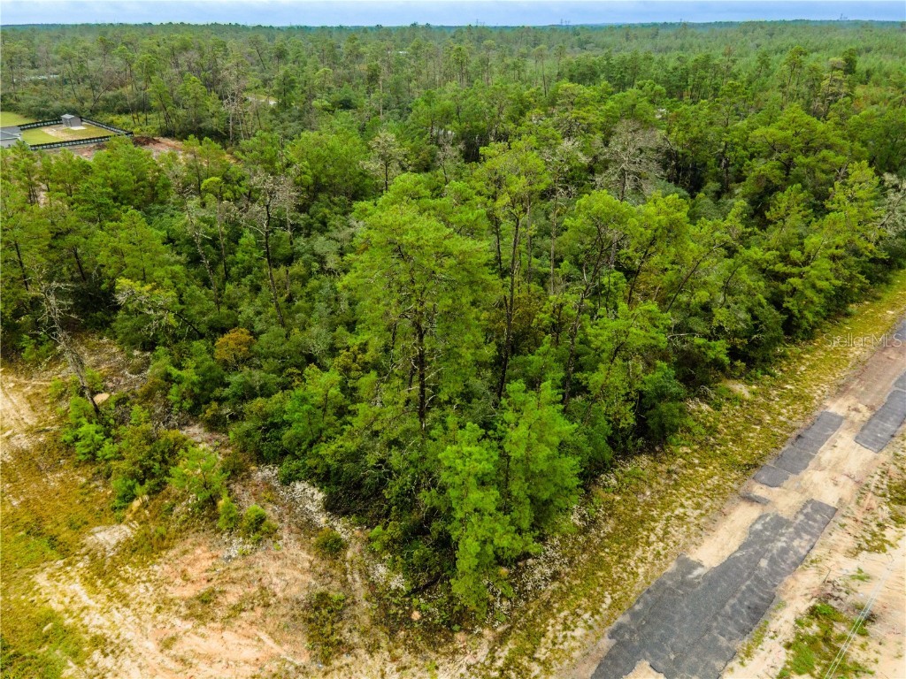 8109 N Wayside Avenue Dunnellon FL 34433 OM708694 image3