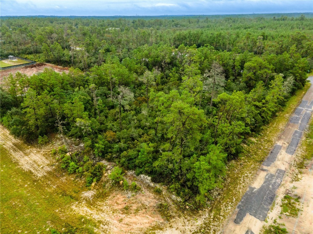 8109 N Wayside Avenue Dunnellon FL 34433 OM708694 image4