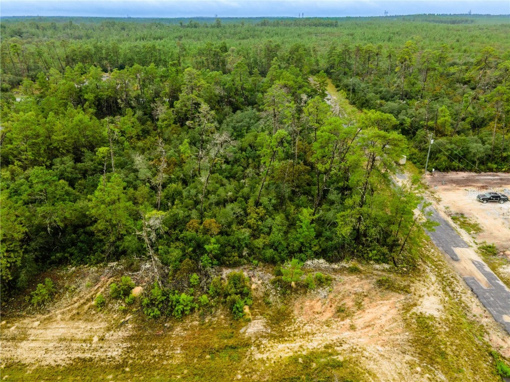 8109 N Wayside Avenue Dunnellon FL 34433 OM708694 image5