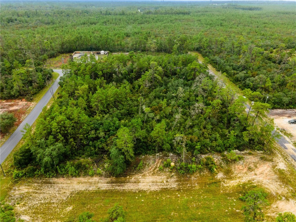 8109 N Wayside Avenue Dunnellon FL 34433 OM708694 image6