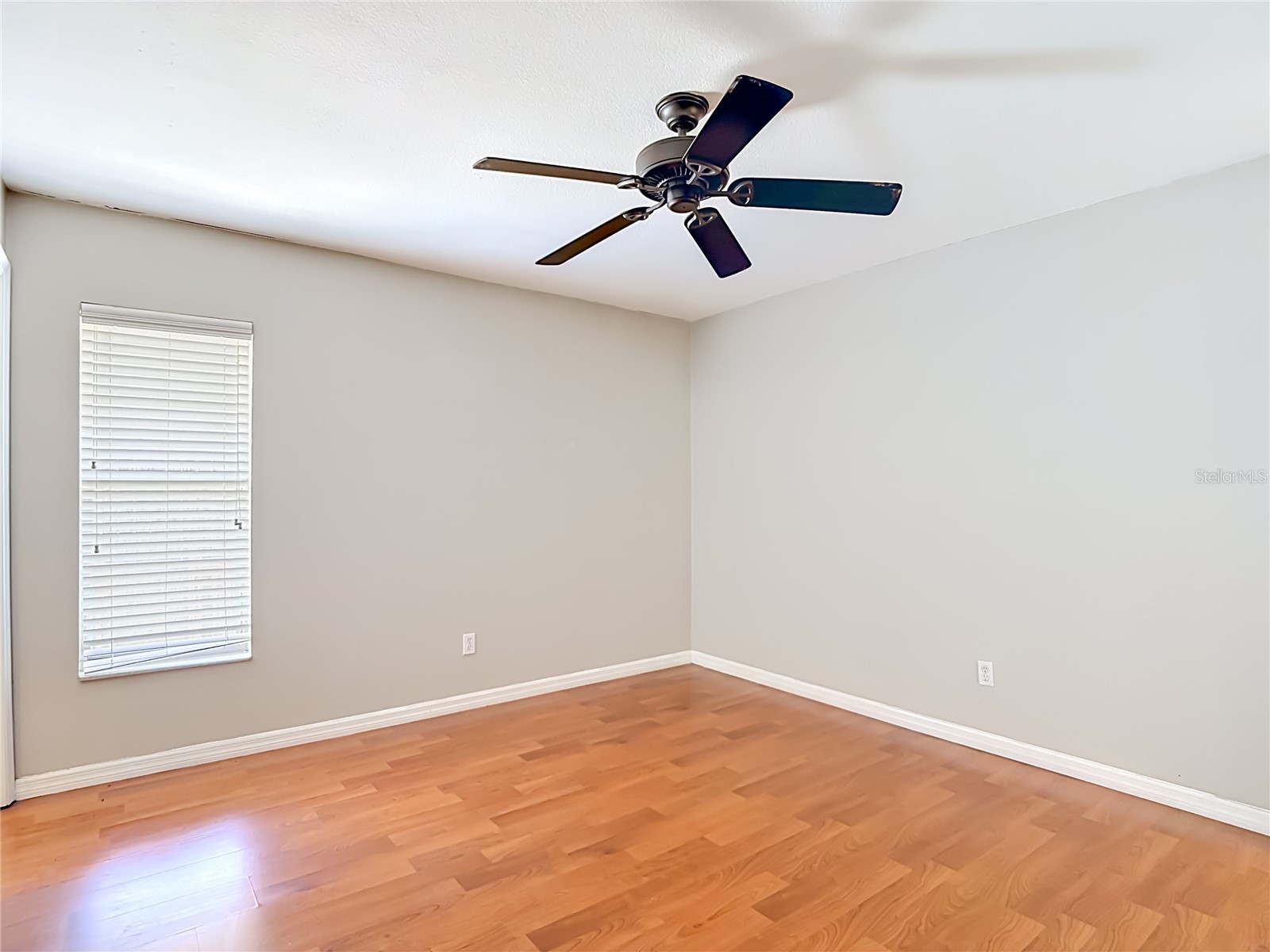 811 Ambassador Loop Tampa FL 33613 TB8508836 image43