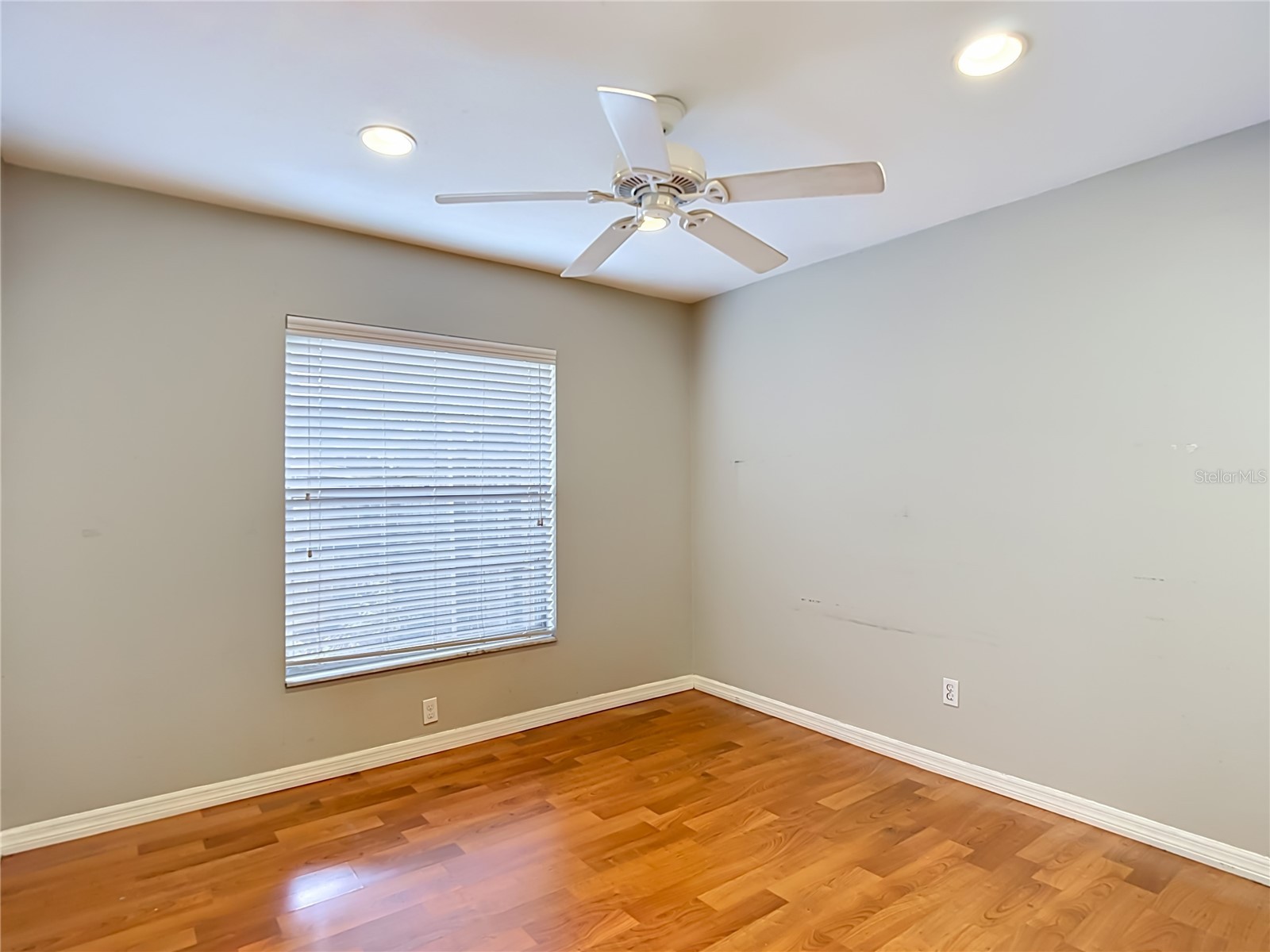811 Ambassador Loop Tampa FL 33613 TB8508836 image51