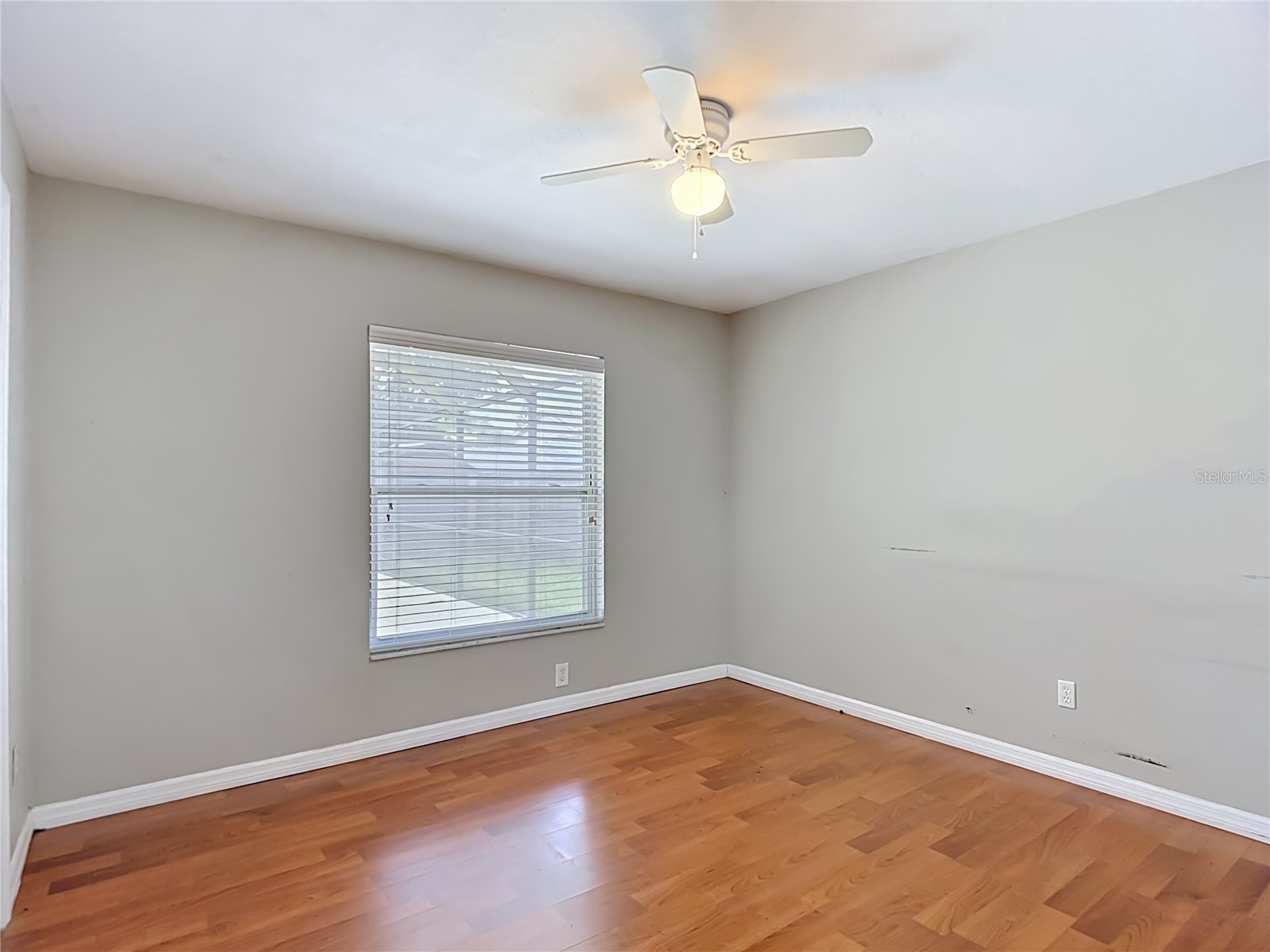 811 Ambassador Loop Tampa FL 33613 TB8508836 image55