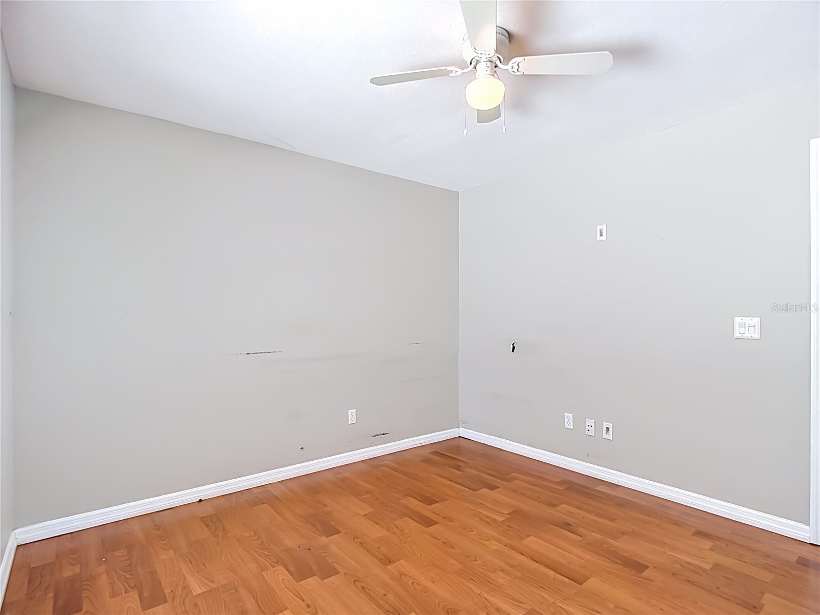 811 Ambassador Loop Tampa FL 33613 TB8508836 image58