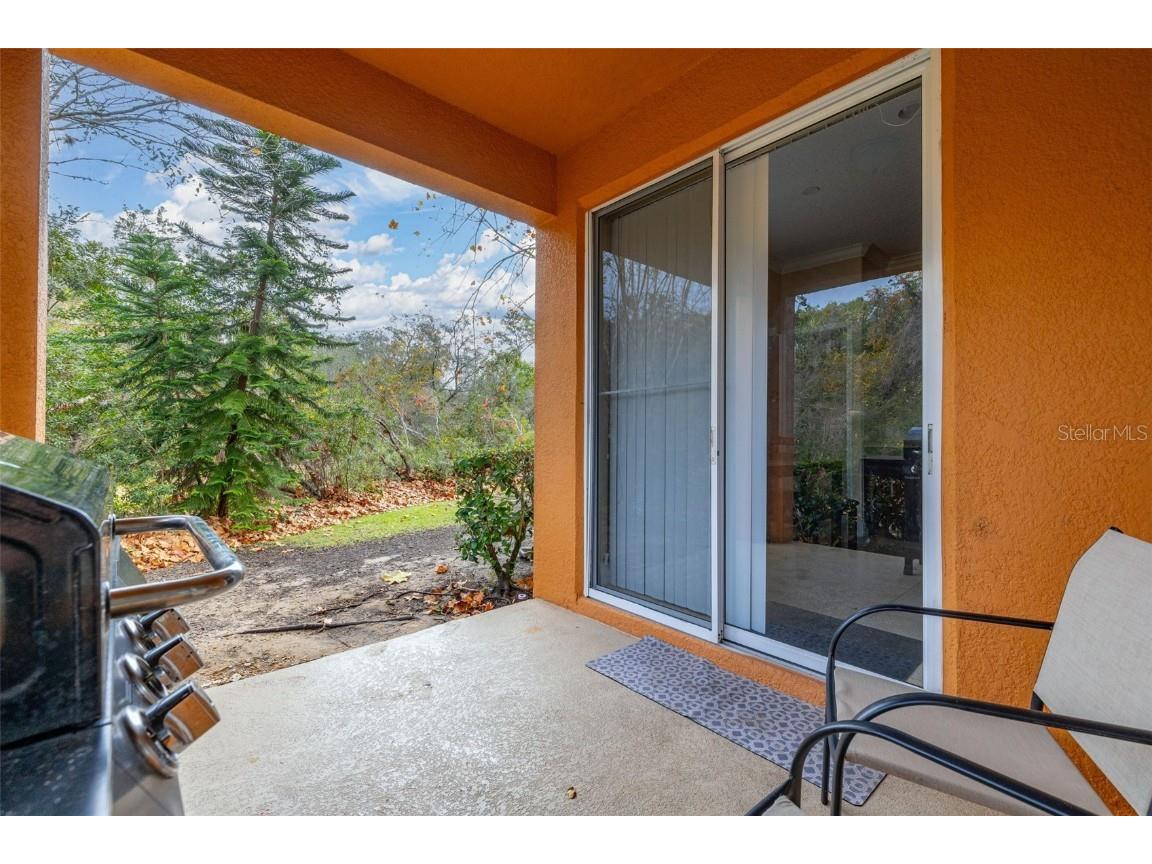 811 Assembly Court Reunion FL 34747 O6368385 image40