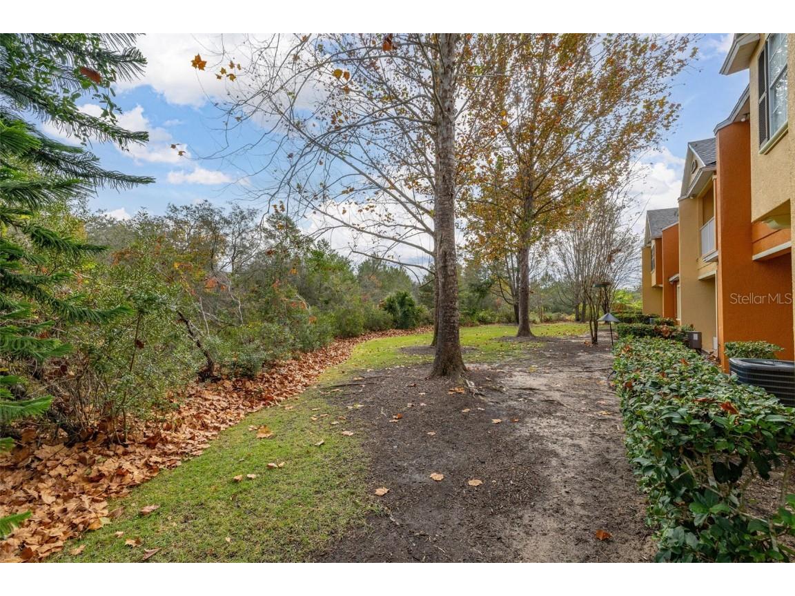 811 Assembly Court Reunion FL 34747 O6368385 image43