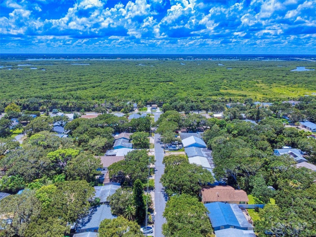 811 E 10th Avenue New Smyrna Beach FL 32169 O6332093 image82