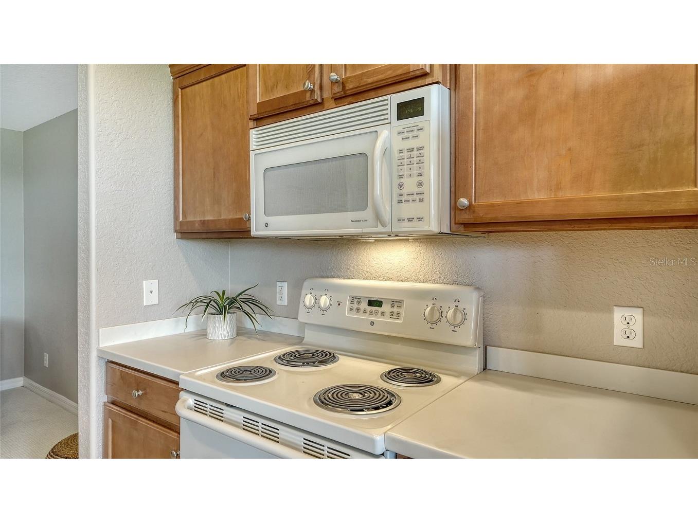 811 Fairwaycove Lane #107 Bradenton FL 34212 A4664614 image27