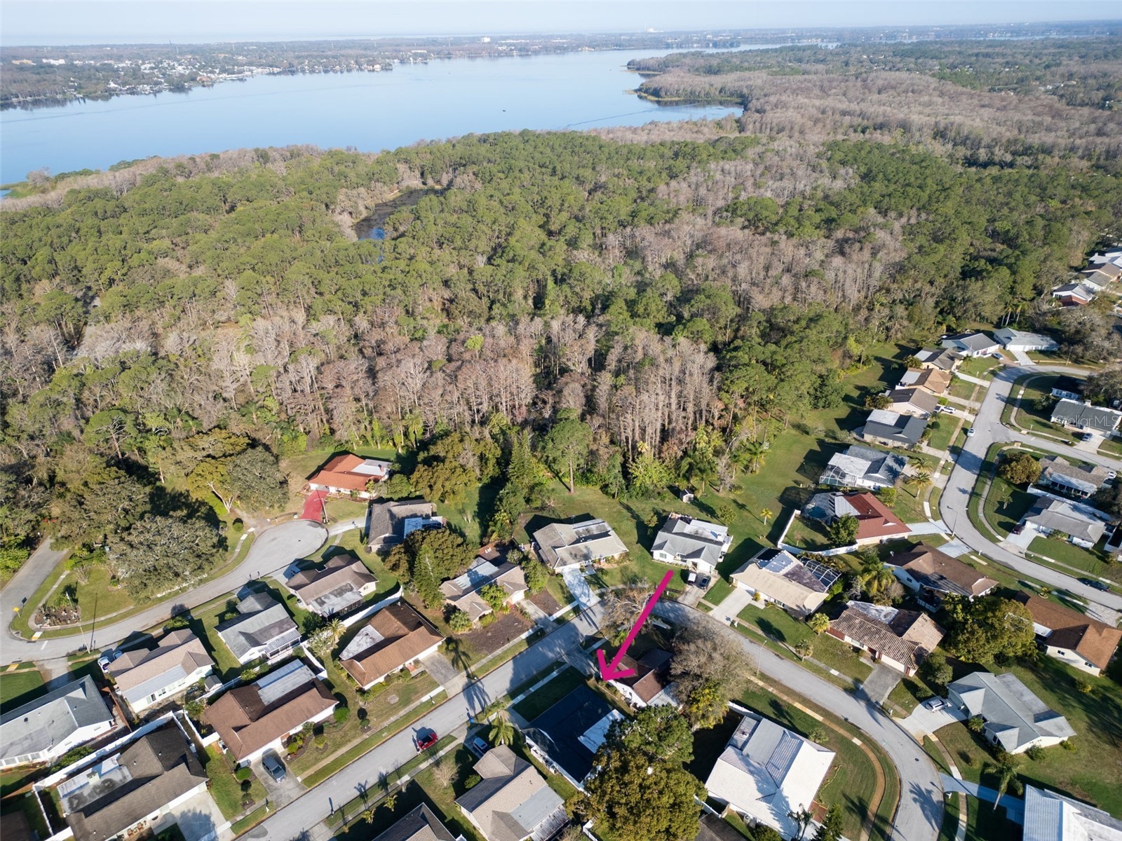 811 Helmsman Way Palm Harbor FL 34685 TB8475651 image36