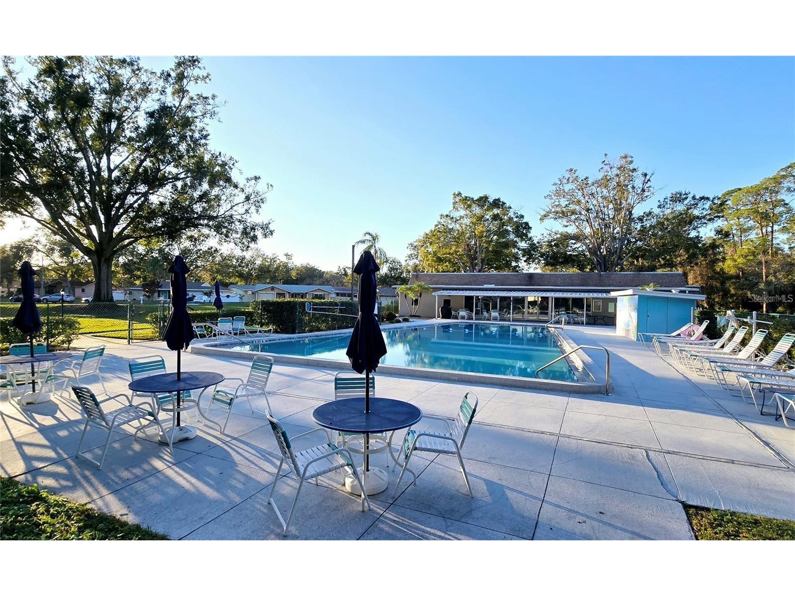 811 Helmsman Way Palm Harbor FL 34685 TB8475651 image42