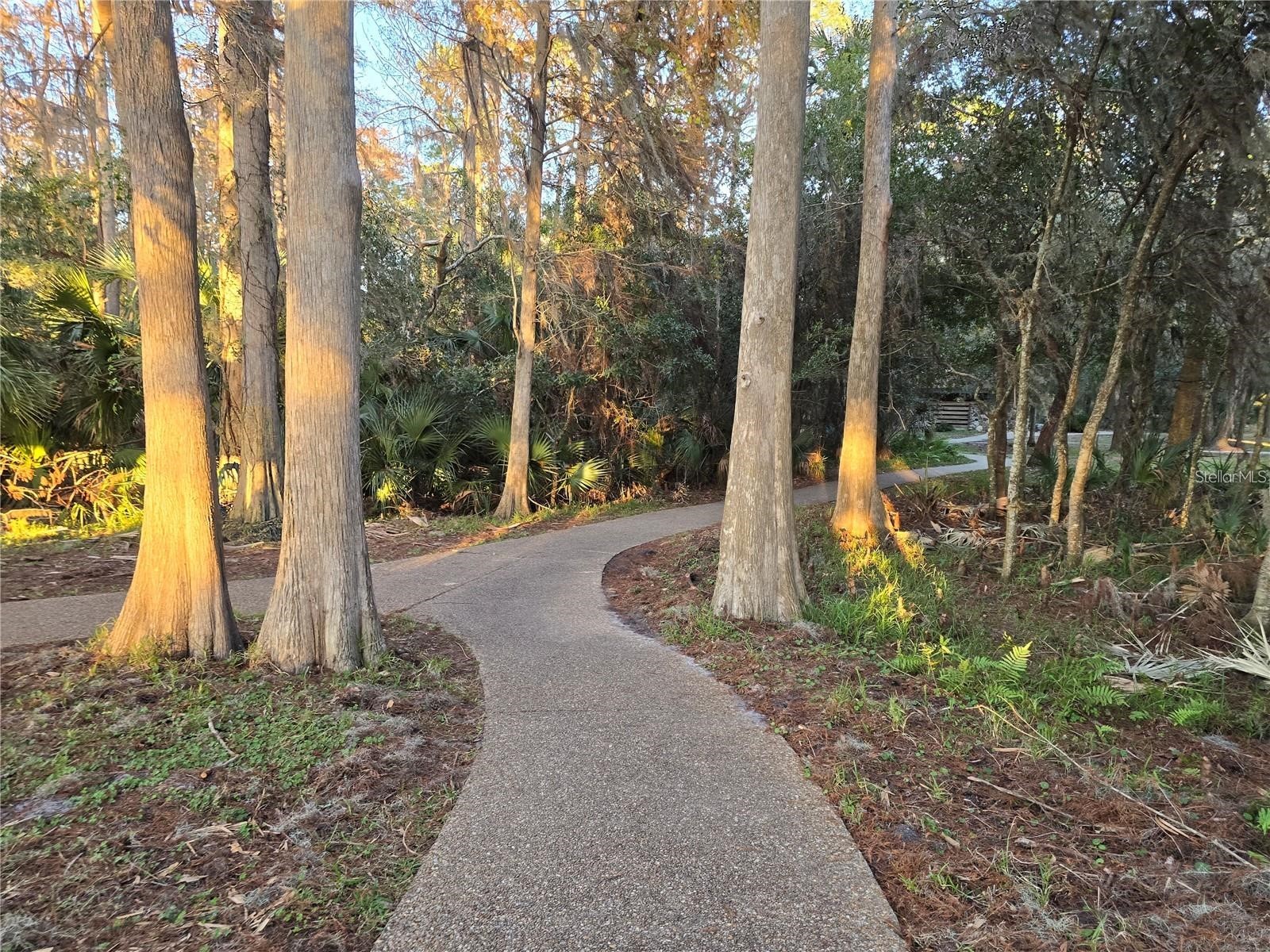 811 Helmsman Way Palm Harbor FL 34685 TB8475651 image53