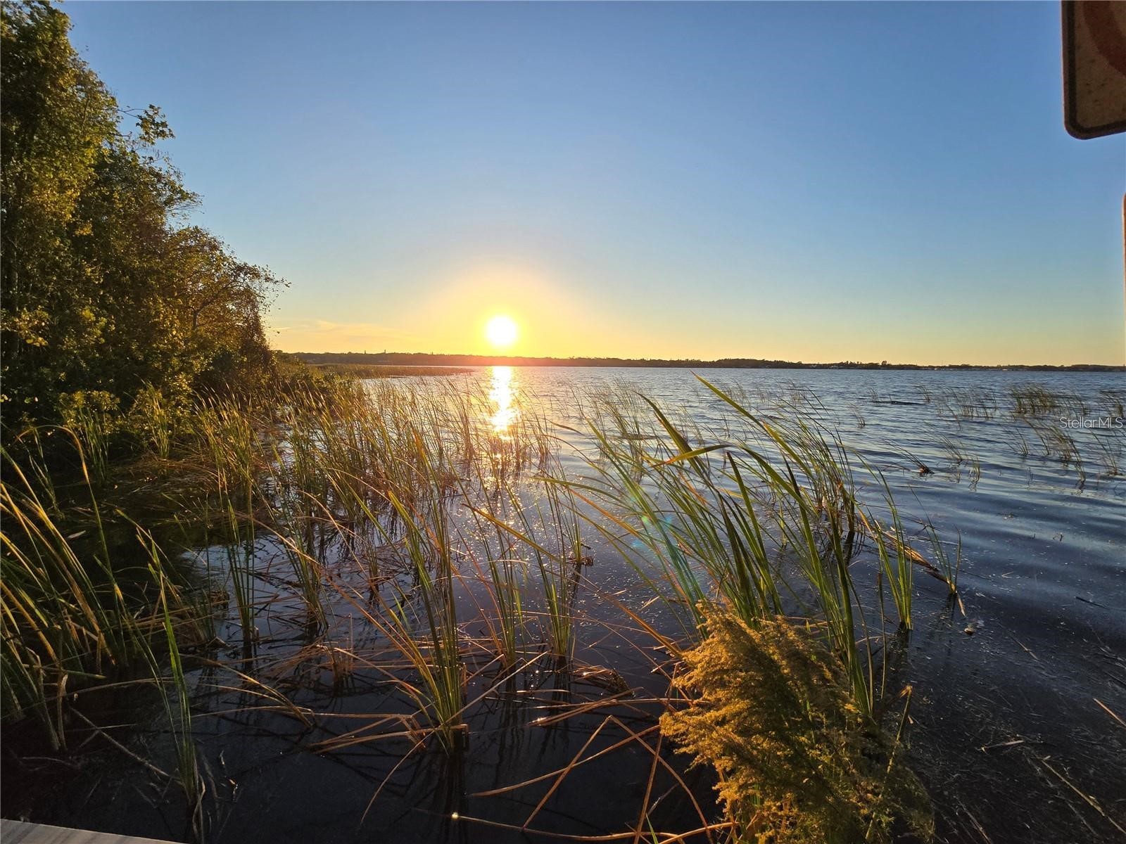 811 Helmsman Way Palm Harbor FL 34685 TB8475651 image55