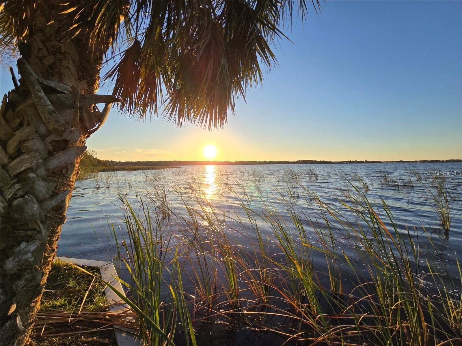 811 Helmsman Way Palm Harbor FL 34685 TB8475651 image56