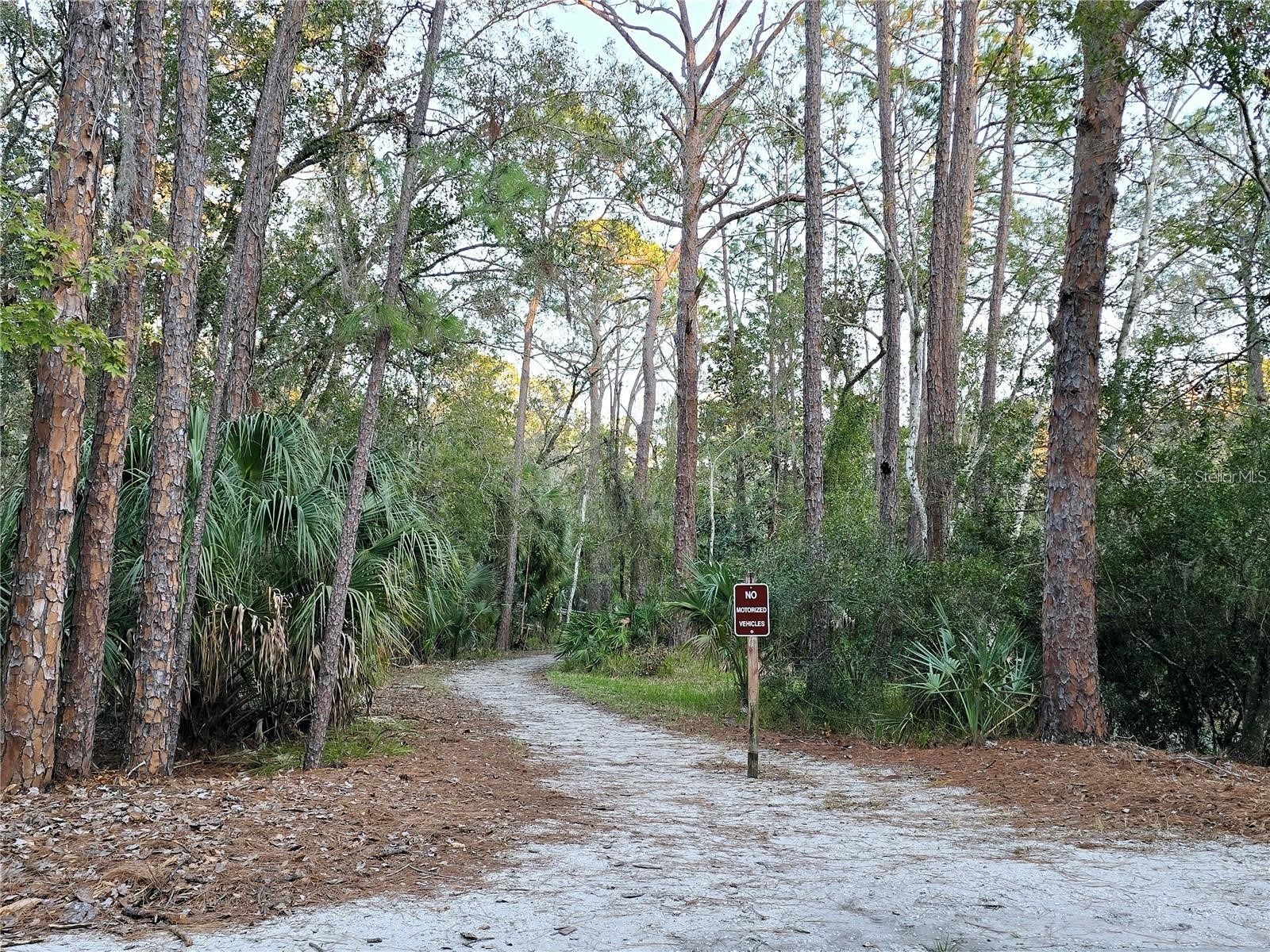 811 Helmsman Way Palm Harbor FL 34685 TB8475651 image57