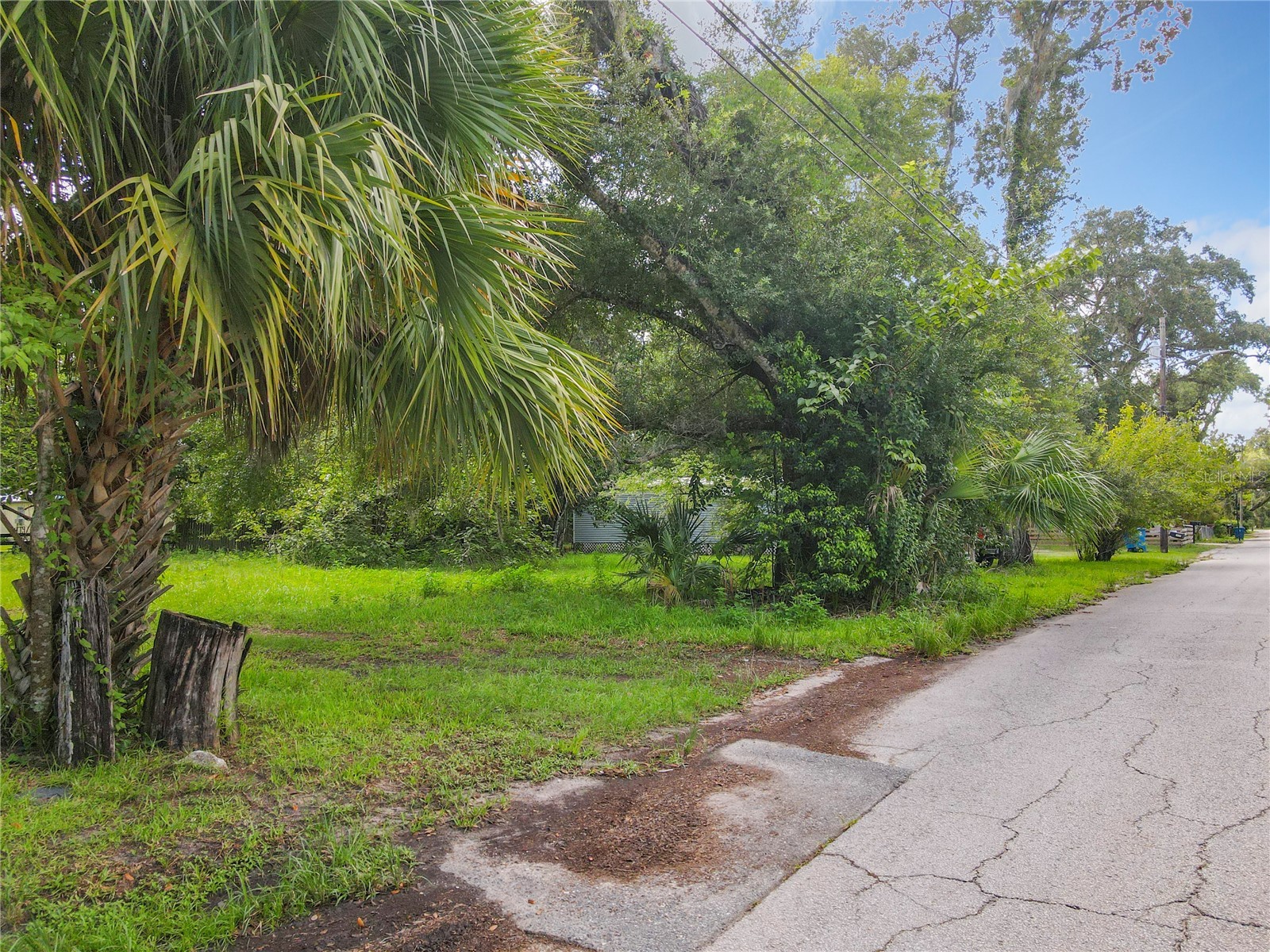 811 Leonard Street Brooksville FL 34601 S5137734 image2