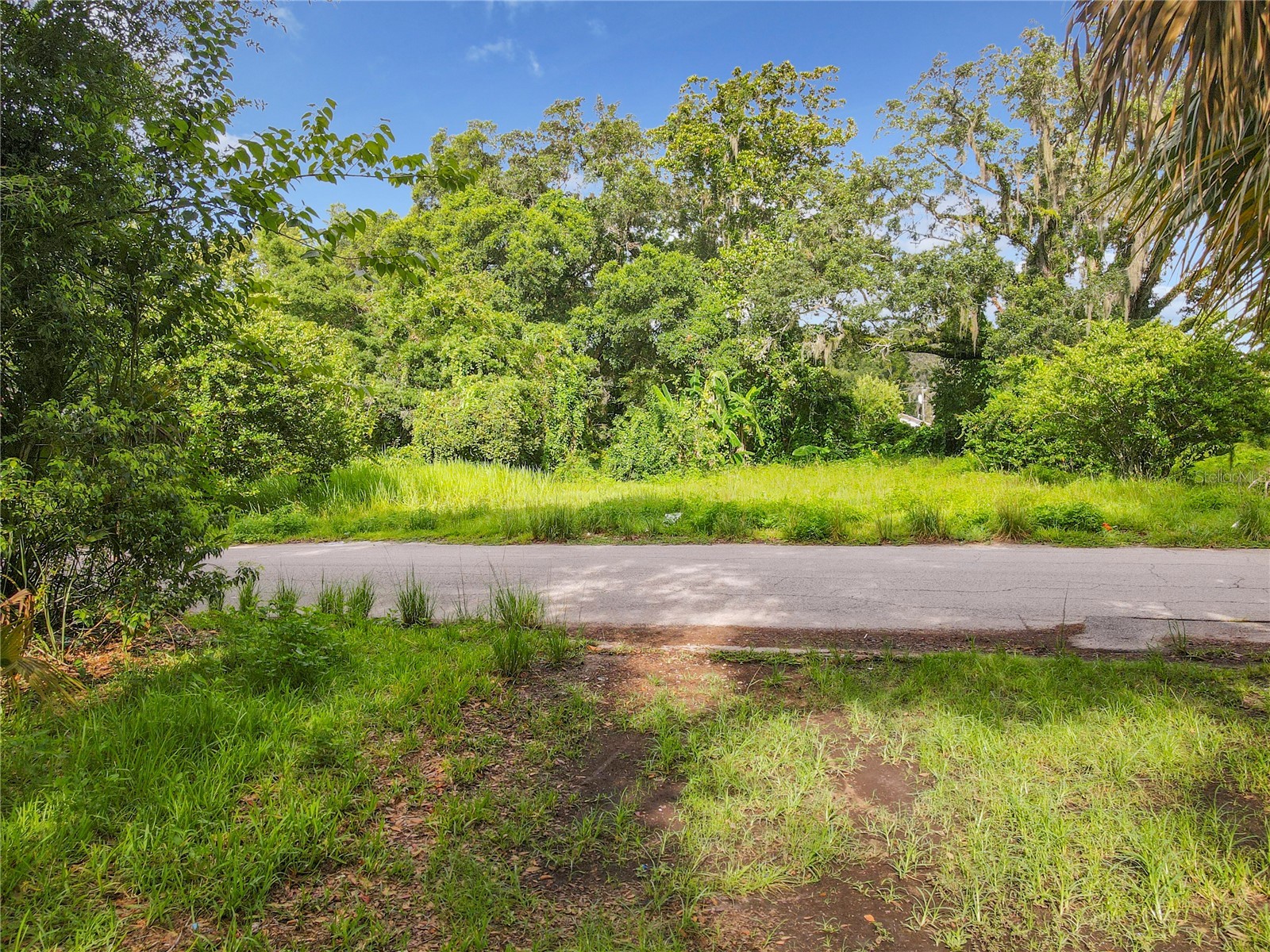 811 Leonard Street Brooksville FL 34601 S5137734 image3