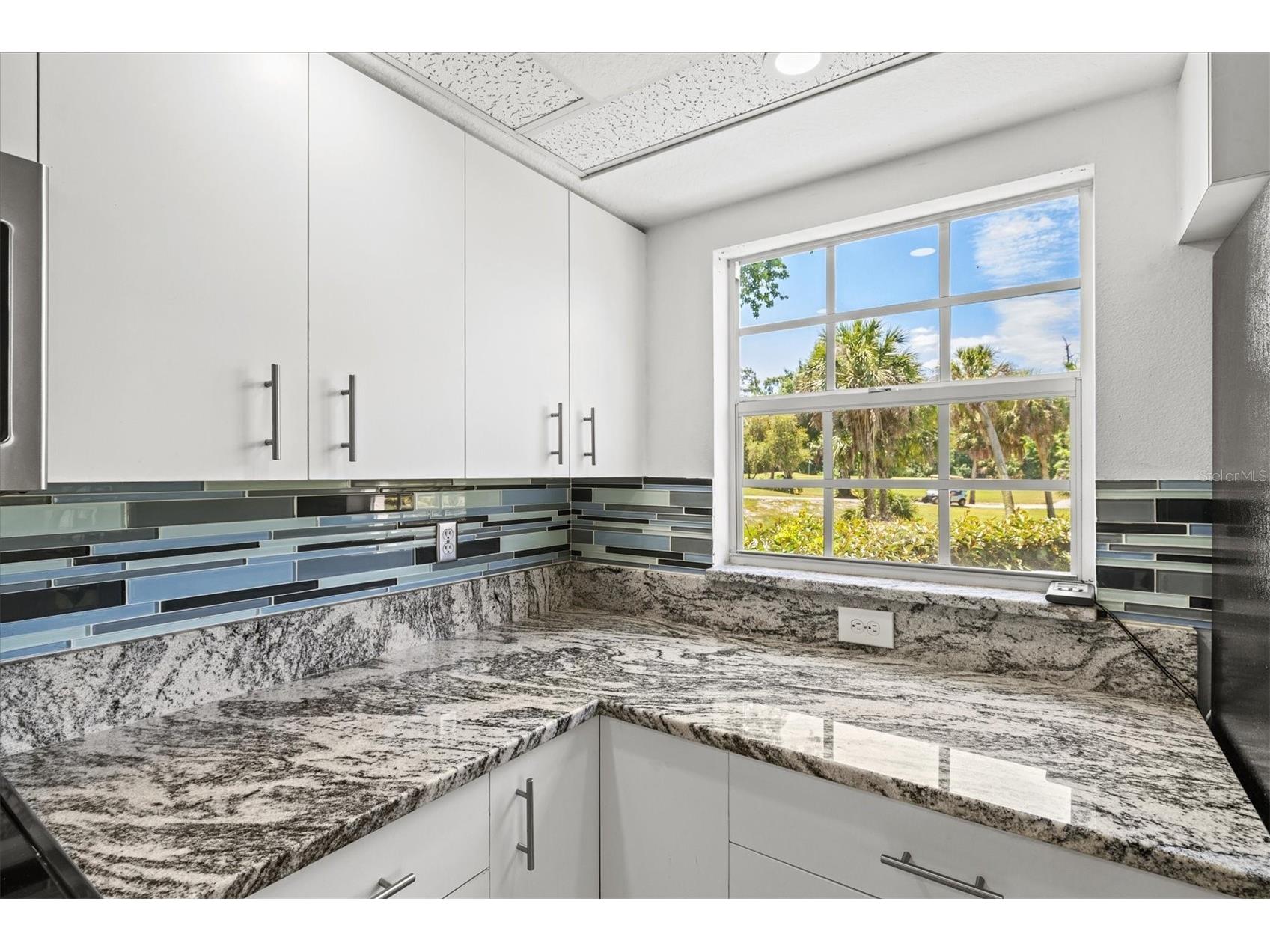 811 Montrose Drive #103 Venice FL 34293 N6143916 image18