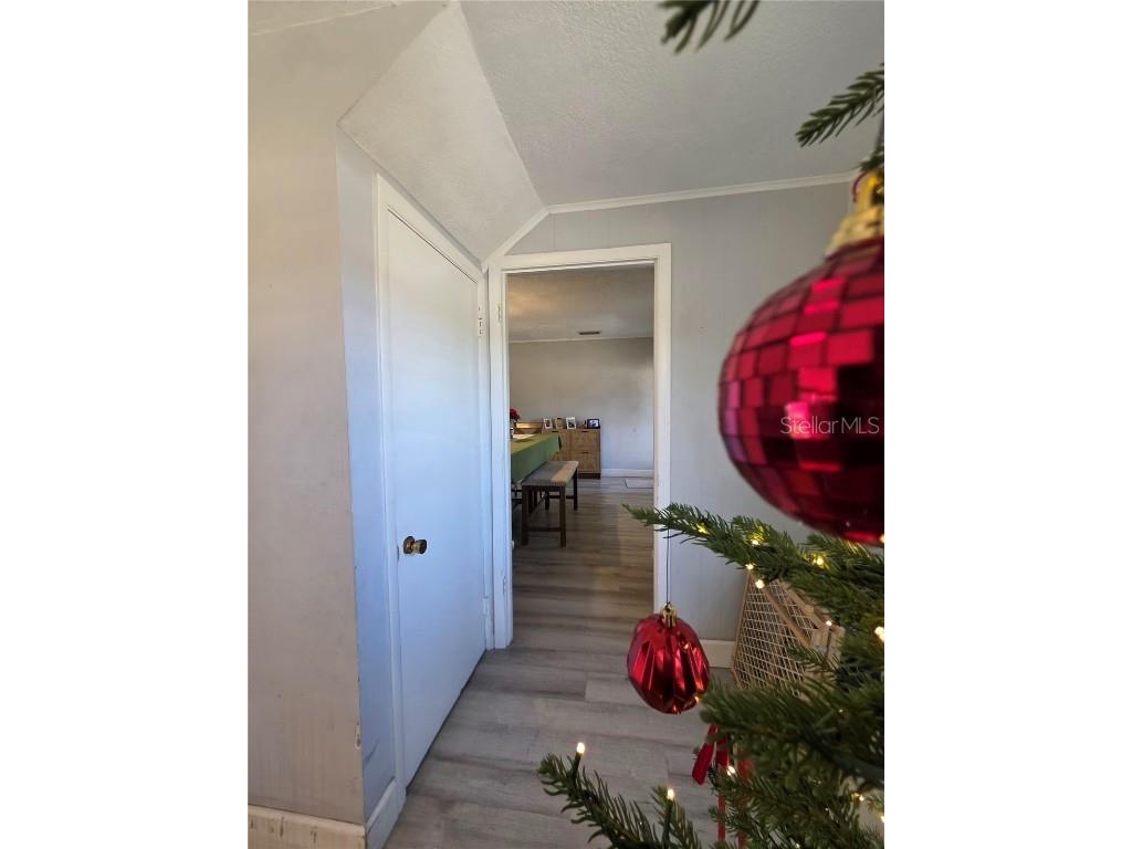 811 N Disston Avenue Tavares FL 32778 G5105079 image17