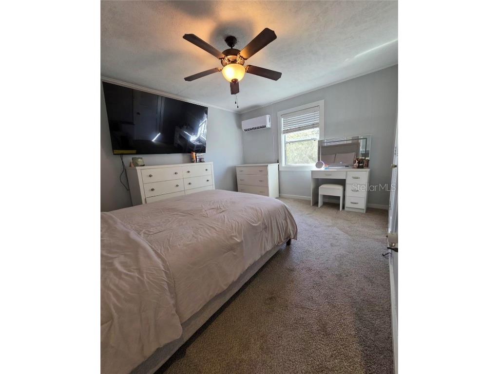 811 N Disston Avenue Tavares FL 32778 G5105079 image23