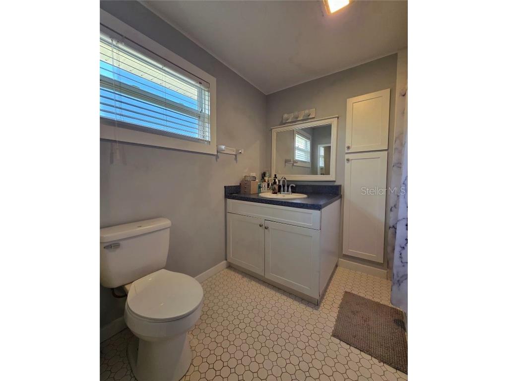 811 N Disston Avenue Tavares FL 32778 G5105079 image25