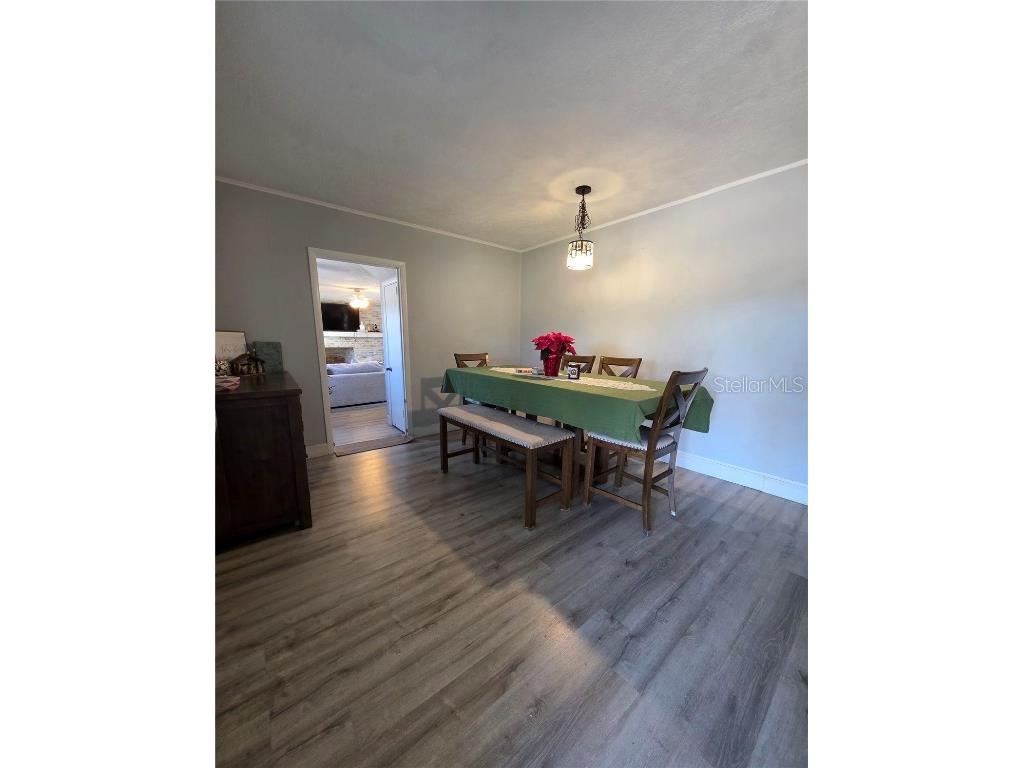 811 N Disston Avenue Tavares FL 32778 G5105079 image7