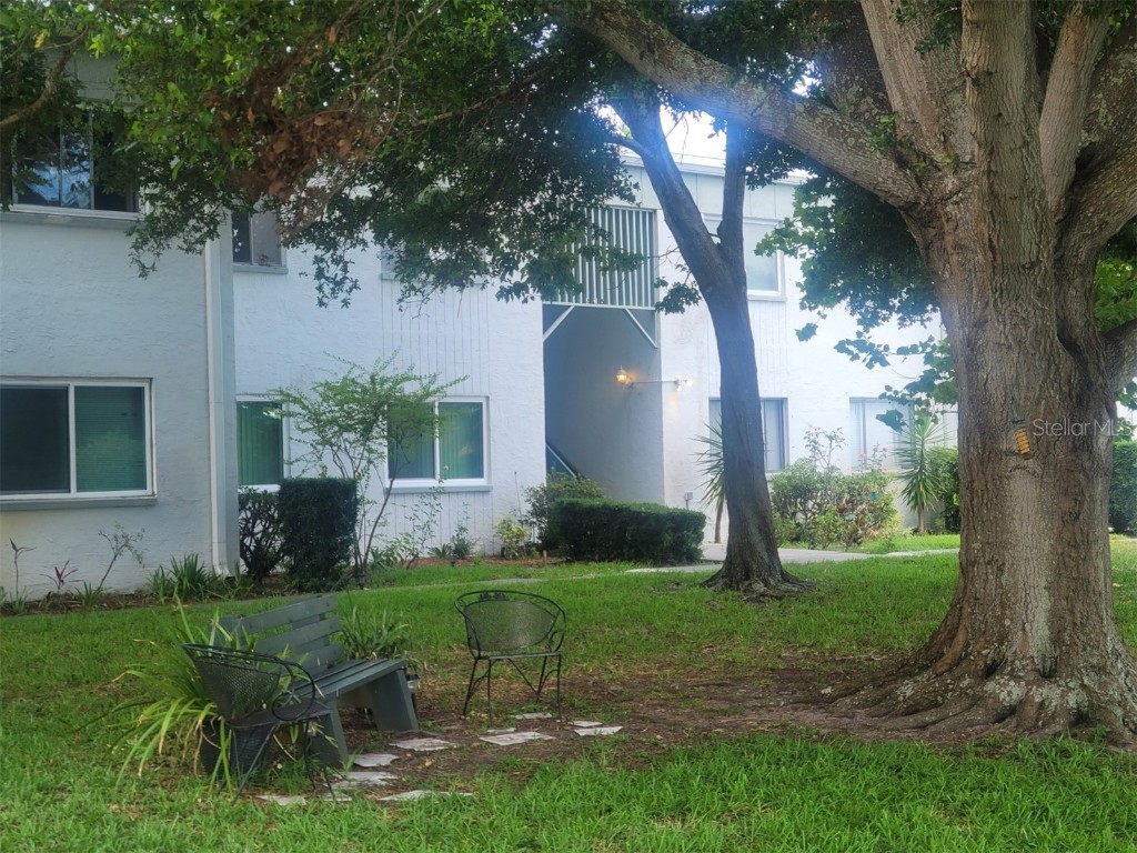 811 N Keene Road #V8 (D) Clearwater FL 33755 U8244795 image1