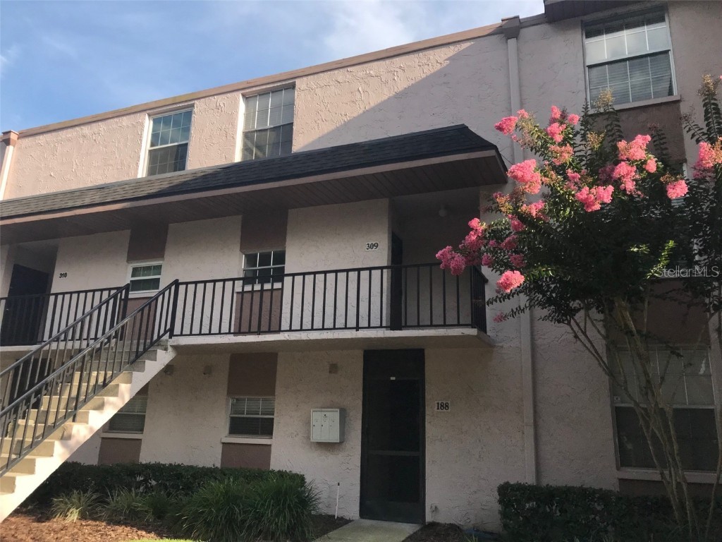 811 Russell Lane #309 Brandon FL 33510 T3367451 image1