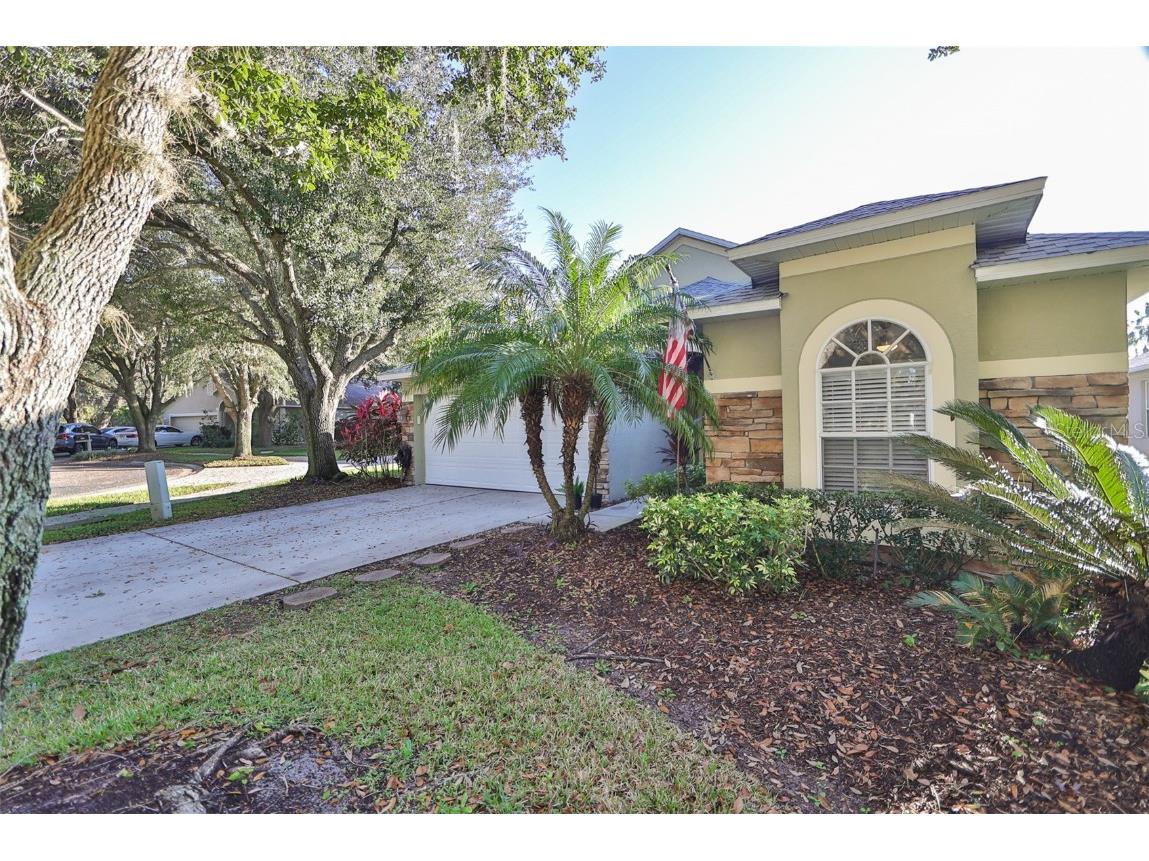 811 Straw Lake Drive Brandon FL 33510 T3417817 image1
