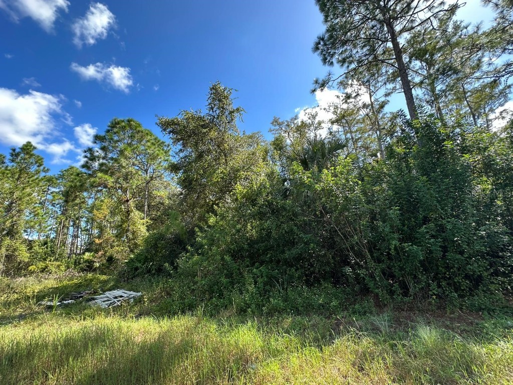 811 Worth Avenue S Lehigh Acres FL 33974 O6159324 image1