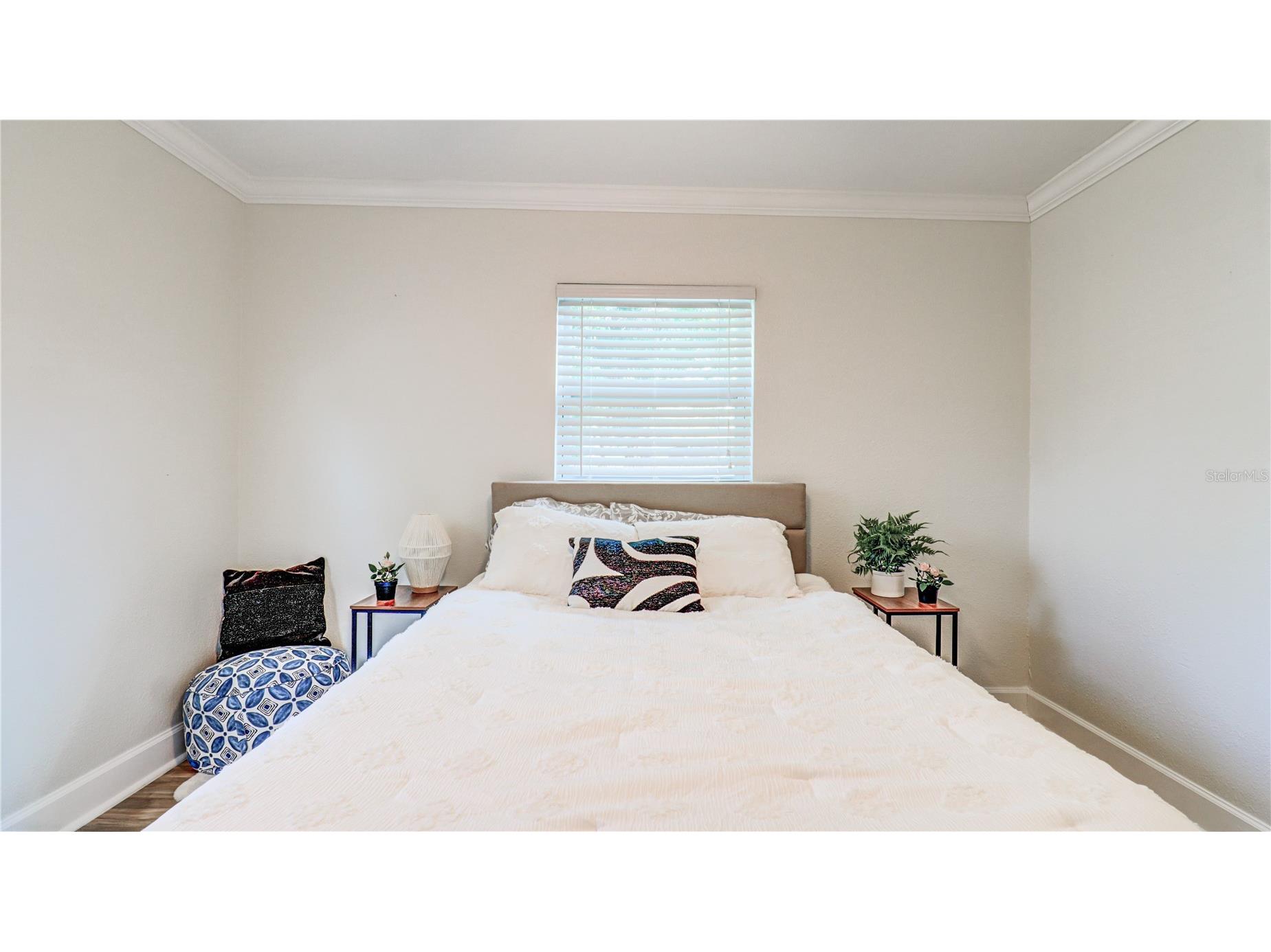 8110 Diagonal Road N Saint Petersburg FL 33702 TB8522609 image36