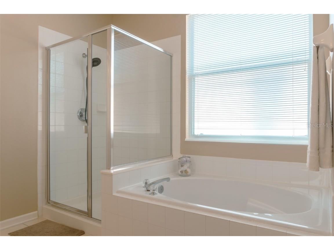 8110 Fan Palm Way Kissimmee FL 34747 O6339969 image10