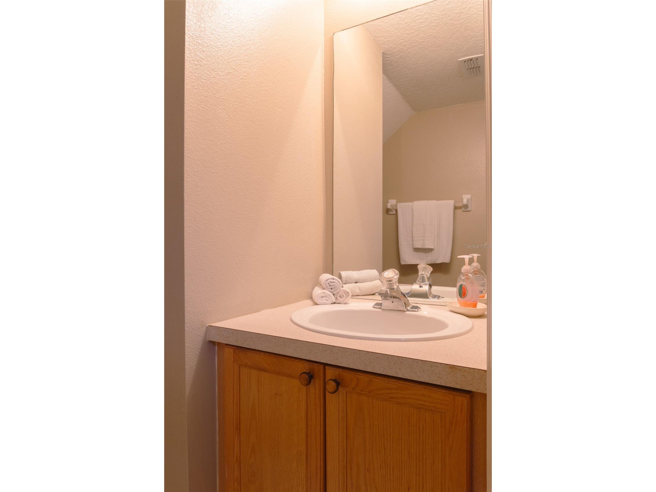 8110 Fan Palm Way Kissimmee FL 34747 O6395292 image18