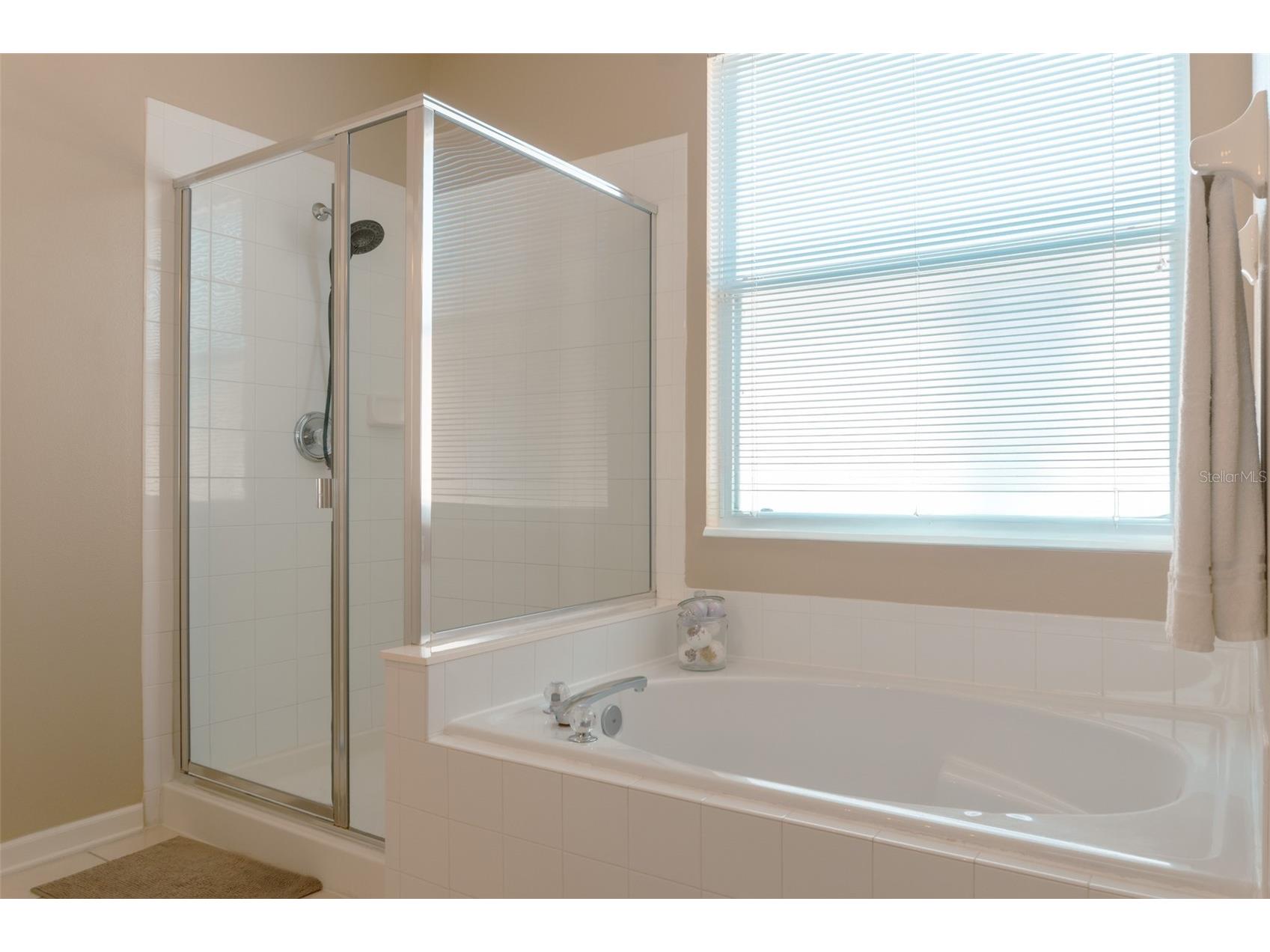 8110 Fan Palm Way Kissimmee FL 34747 O6395292 image26