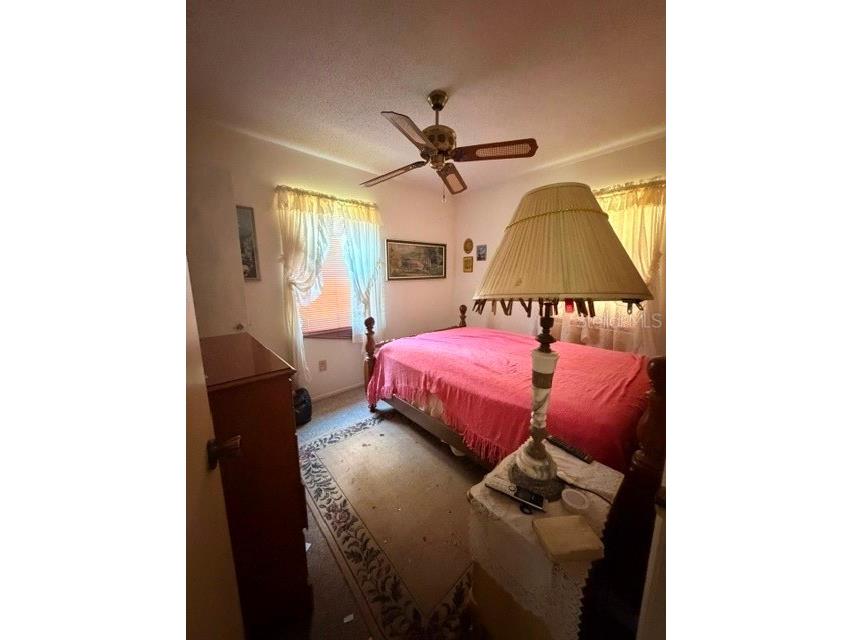 8110 Habakka Road Lithia FL 33547 TB8522856 image11