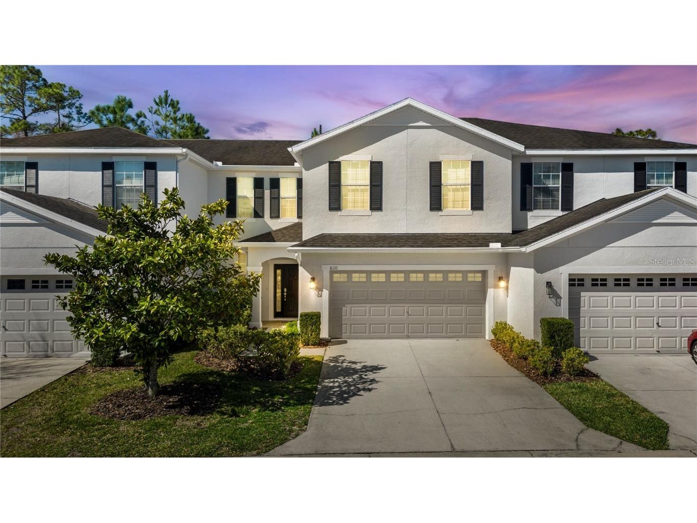 8110 Hampton View Lane Tampa FL 33647 T3426655 image1