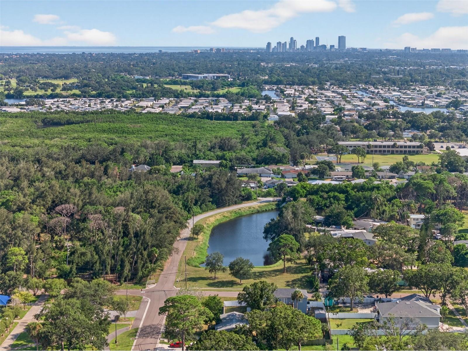 8110 Macoma Drive NE Saint Petersburg FL 33702 TB8468682 image47