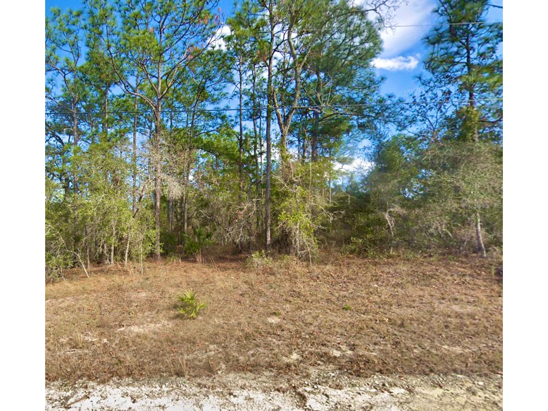 8110 Nordica Road Weeki Wachee FL 34613 TB8491024 image1