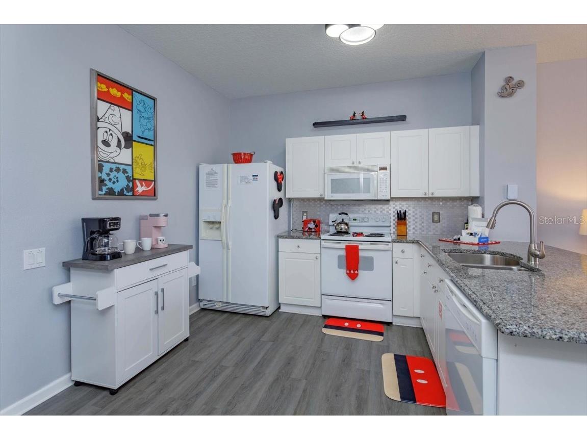 8110 Princess Palm Lane Kissimmee FL 34747 O6303083 image10