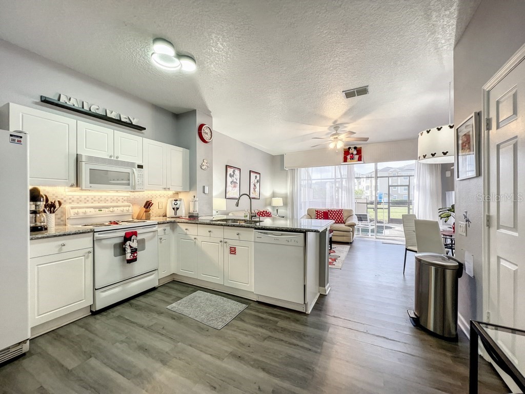 8110 Princess Palm Lane Kissimmee FL 34747 O6303083 image11