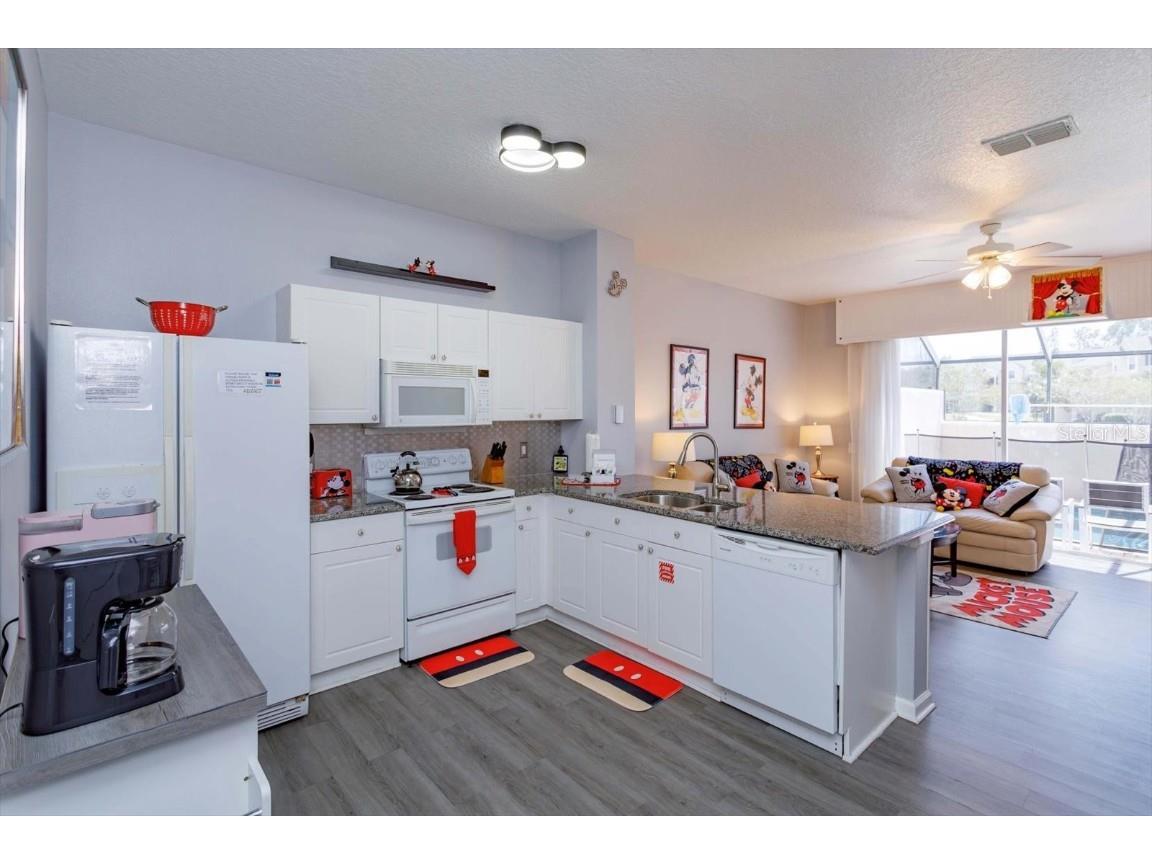 8110 Princess Palm Lane Kissimmee FL 34747 O6303083 image12